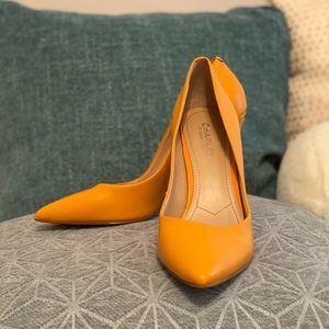 Charles David Heels